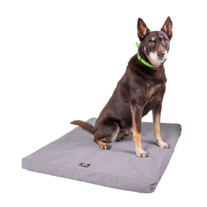 Alternative view of Canvas Dog Bed